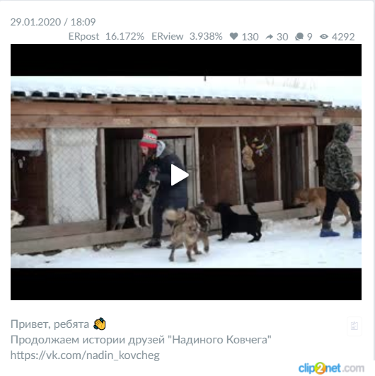 Кейс: продвижение аккаунта и реклама для передержки животных во ВКонтакте